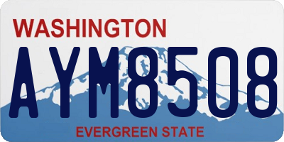 WA license plate AYM8508