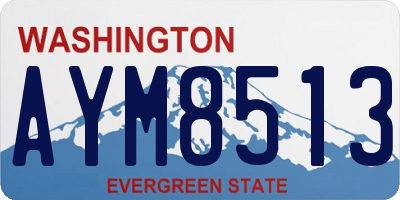 WA license plate AYM8513