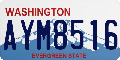 WA license plate AYM8516