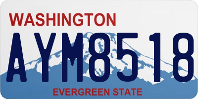 WA license plate AYM8518