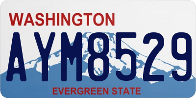 WA license plate AYM8529