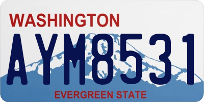 WA license plate AYM8531