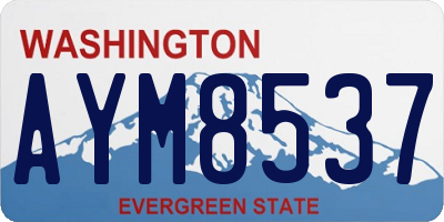 WA license plate AYM8537