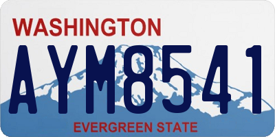 WA license plate AYM8541