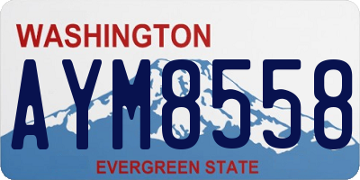 WA license plate AYM8558