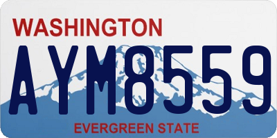 WA license plate AYM8559