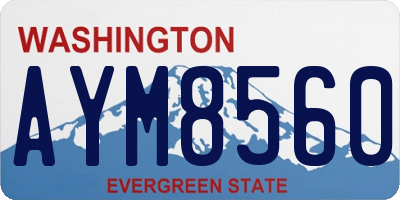 WA license plate AYM8560