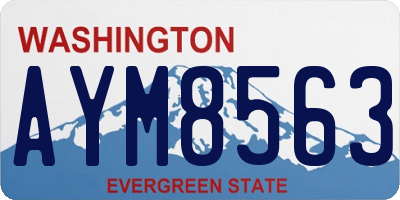 WA license plate AYM8563