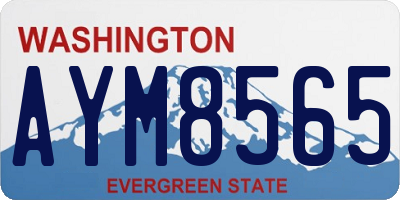 WA license plate AYM8565