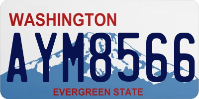 WA license plate AYM8566