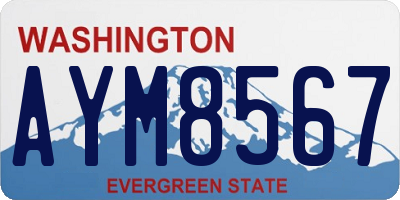 WA license plate AYM8567