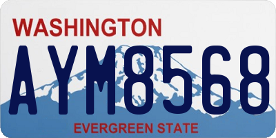 WA license plate AYM8568