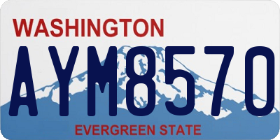WA license plate AYM8570