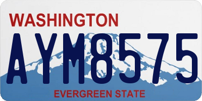 WA license plate AYM8575