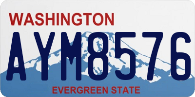 WA license plate AYM8576