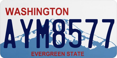 WA license plate AYM8577