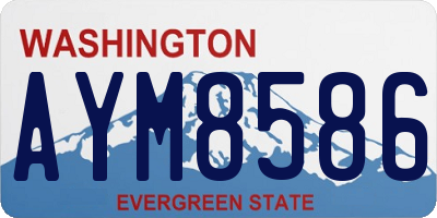 WA license plate AYM8586