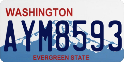 WA license plate AYM8593