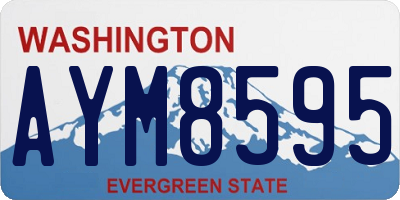 WA license plate AYM8595