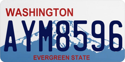WA license plate AYM8596