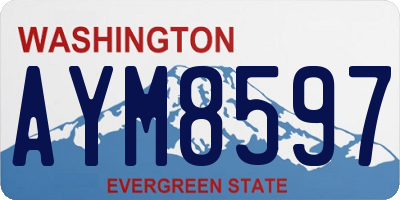 WA license plate AYM8597