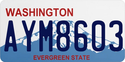 WA license plate AYM8603