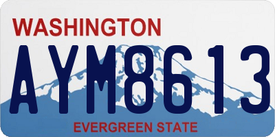 WA license plate AYM8613