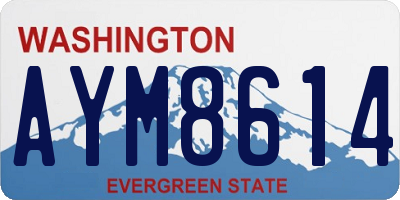 WA license plate AYM8614