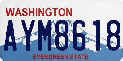 WA license plate AYM8618