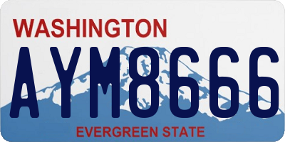 WA license plate AYM8666
