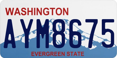 WA license plate AYM8675