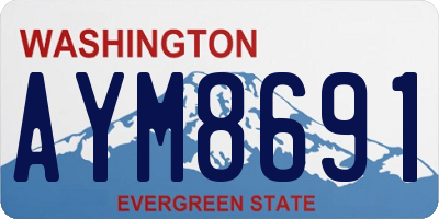WA license plate AYM8691