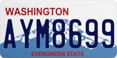 WA license plate AYM8699