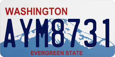 WA license plate AYM8731