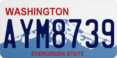 WA license plate AYM8739