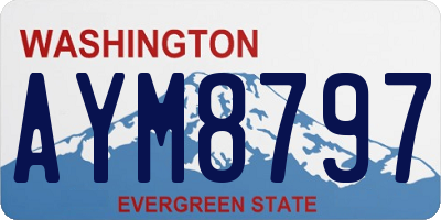 WA license plate AYM8797