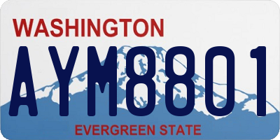 WA license plate AYM8801