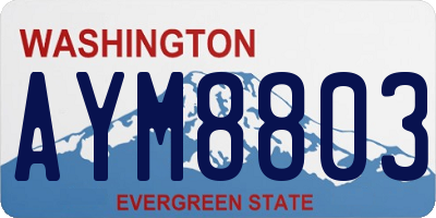 WA license plate AYM8803