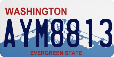 WA license plate AYM8813