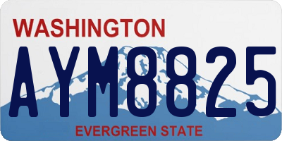 WA license plate AYM8825