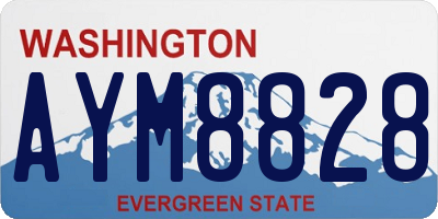 WA license plate AYM8828