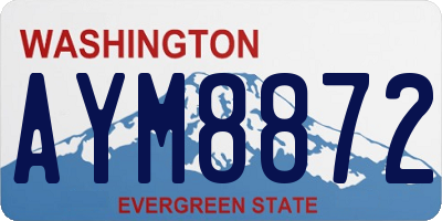 WA license plate AYM8872