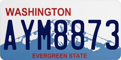 WA license plate AYM8873
