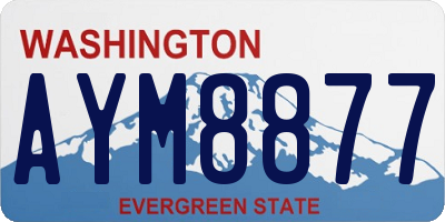 WA license plate AYM8877