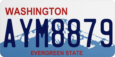 WA license plate AYM8879