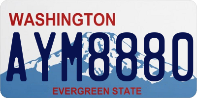 WA license plate AYM8880