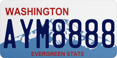 WA license plate AYM8888