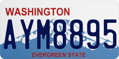 WA license plate AYM8895