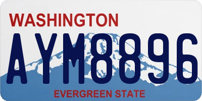 WA license plate AYM8896