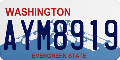 WA license plate AYM8919